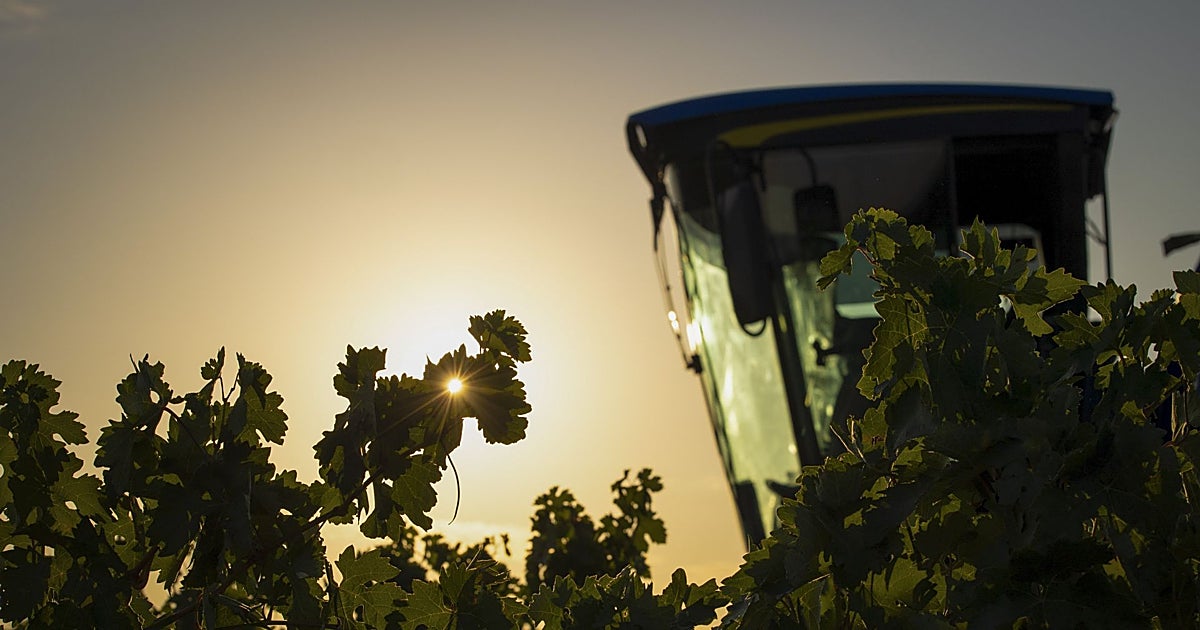 La inquietud se extiende por el Alto Guadiana: «No se puede jugar con el futuro de los agricultores»