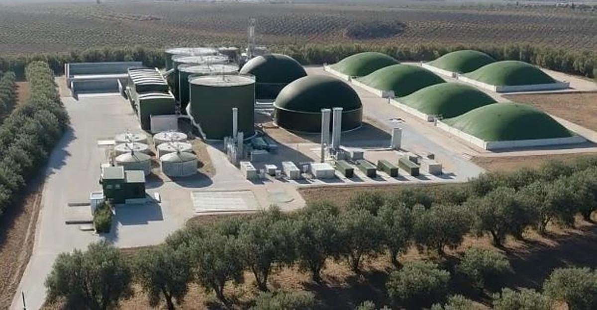 Los promotores de la planta de biometano de Baena defienden su viabilidad ambiental y económica: así será el proyecto