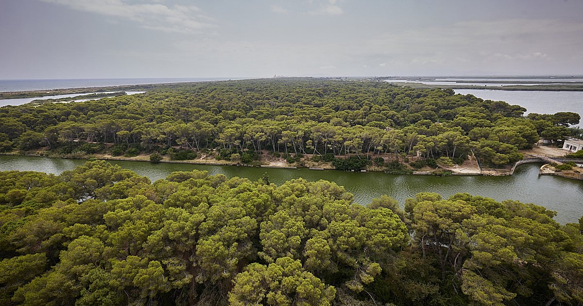 El entrañable gesto de un niño de ocho años con el policía que lo rescató de un bosque en Valencia