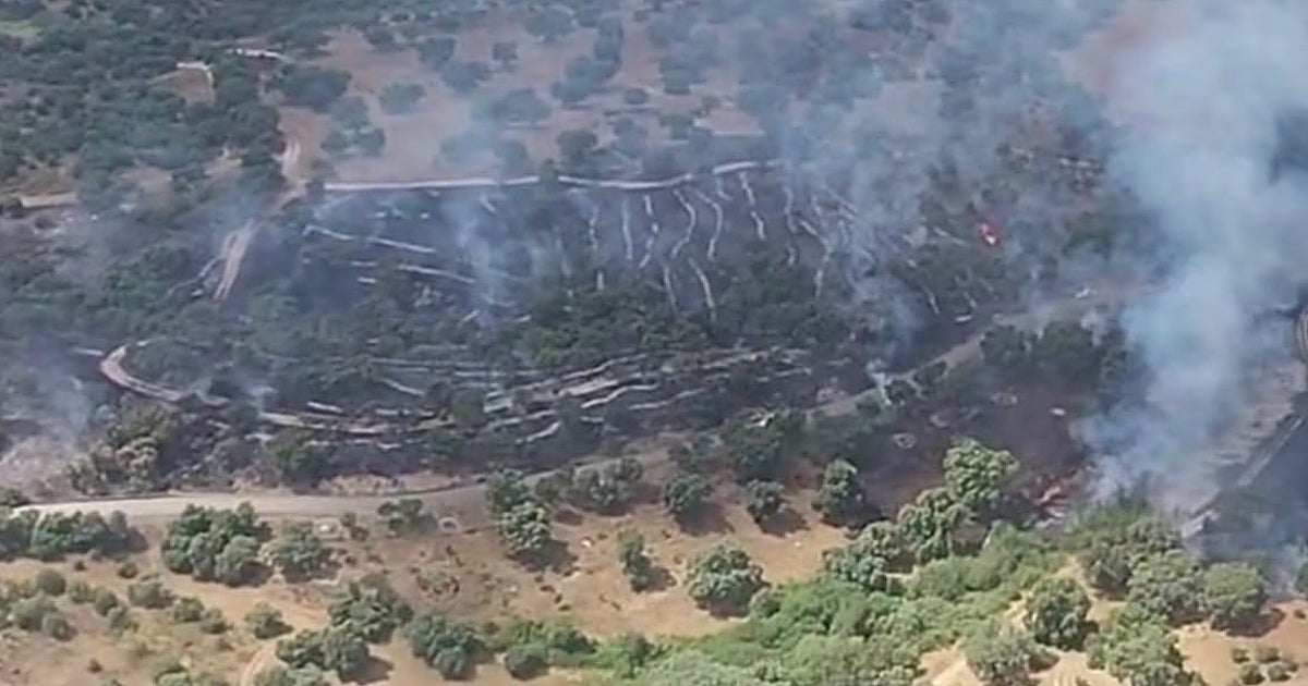 El humo obliga a activar el nivel 1 en un incendio forestal en Méntrida (Toledo)