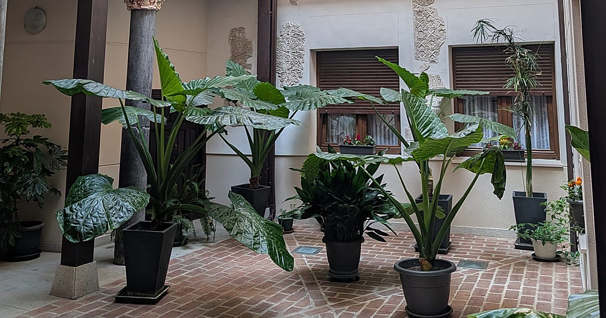 Un patio debutante de Toledo se cuela entre los premiados del XXV Certamen de Patios