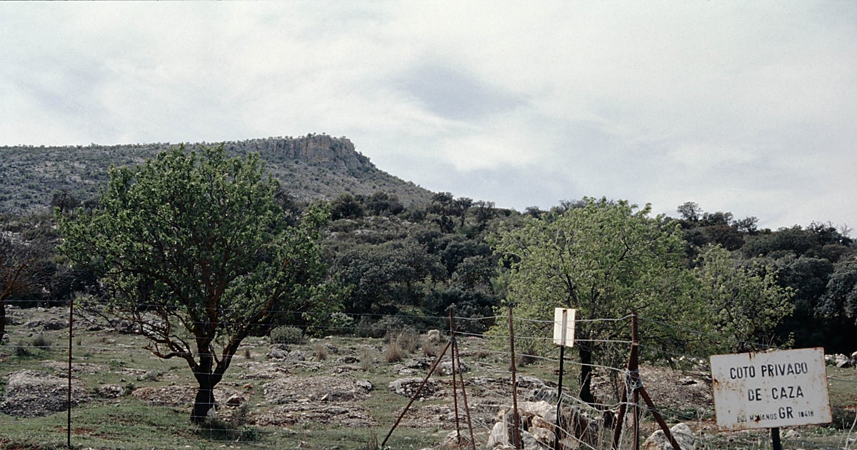 Andalucía refuerza la vigilancia de los cotos y la protección de la fauna silvestre con los guardas jurados de caza