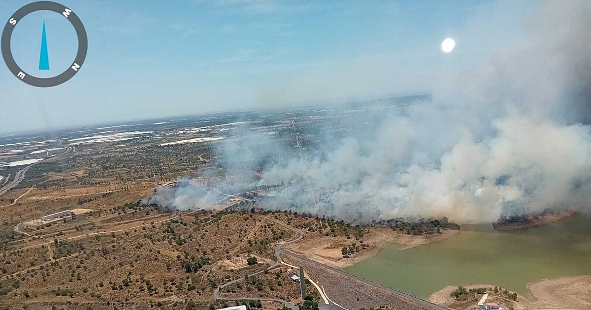 Controlado el incendio de Lepe que obligó a desalojar a 115 