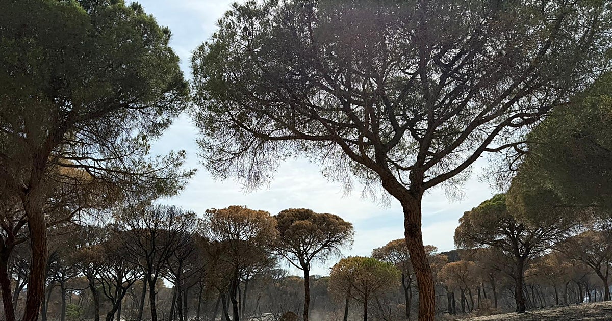 La Junta visita Doñana tras el incendio: «Hay zonas que perm