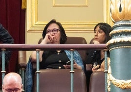 El PSOE asegura que la directora de la Guardia Civil no comparecerá este jueves en el Senado por la visita del Papa