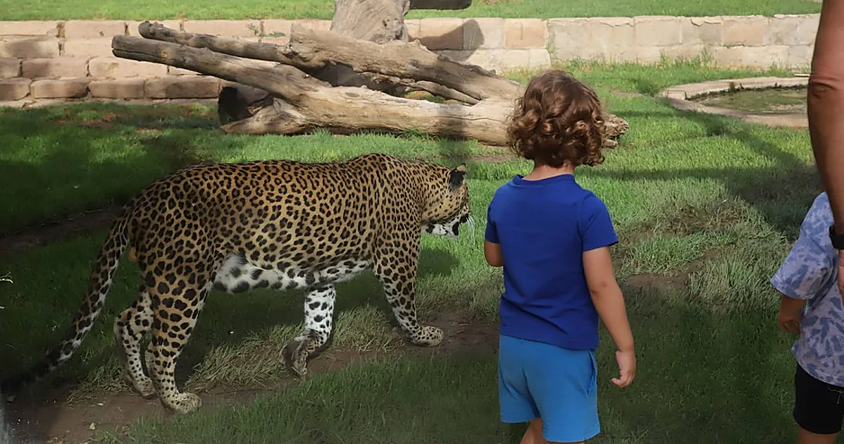 Dormir en el zoo de Córdoba ya es posible: estas son las noc