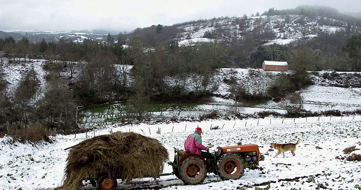 El tractor, el asesino silente del campo gallego: 20 muertes