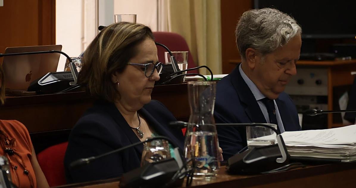 El Ayuntamiento aprueba su plan de ajuste, con 13 millones m