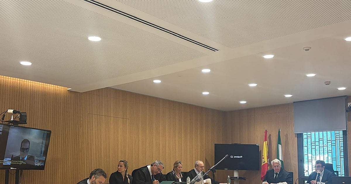Iván Zaldúa declara en el juicio de Carlos González que el C