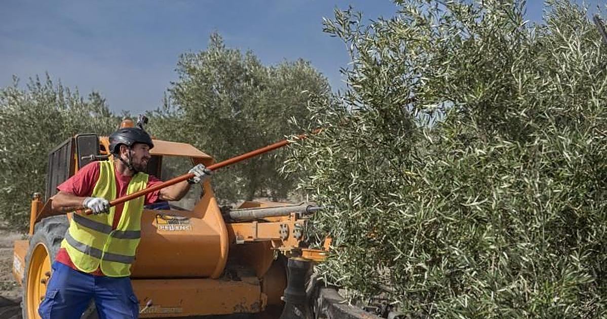 Córdoba suma 339 nuevos jóvenes al campo con ayudas de casi 