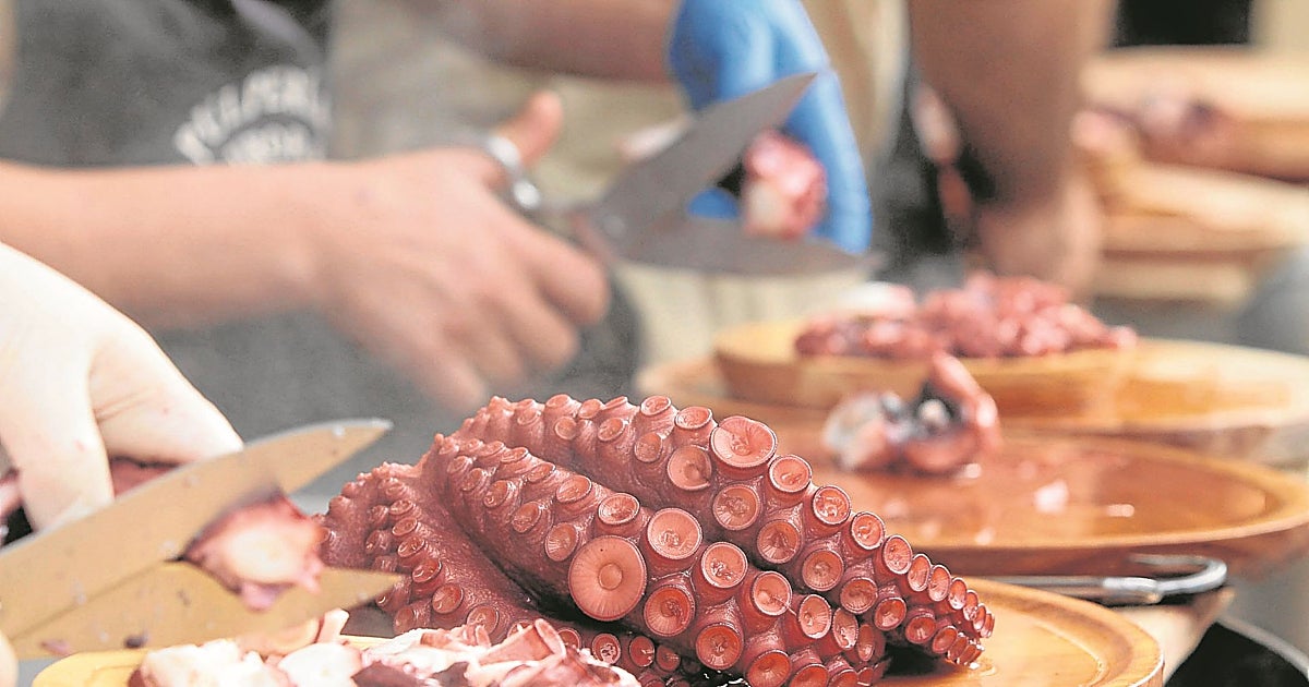 Qué hacer en Galicia este verano 2026: las 8 mejores fiestas