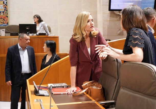 Miembro del Grupo Parlamentario Socialista, este jueves en el Parlamento de Aragón.