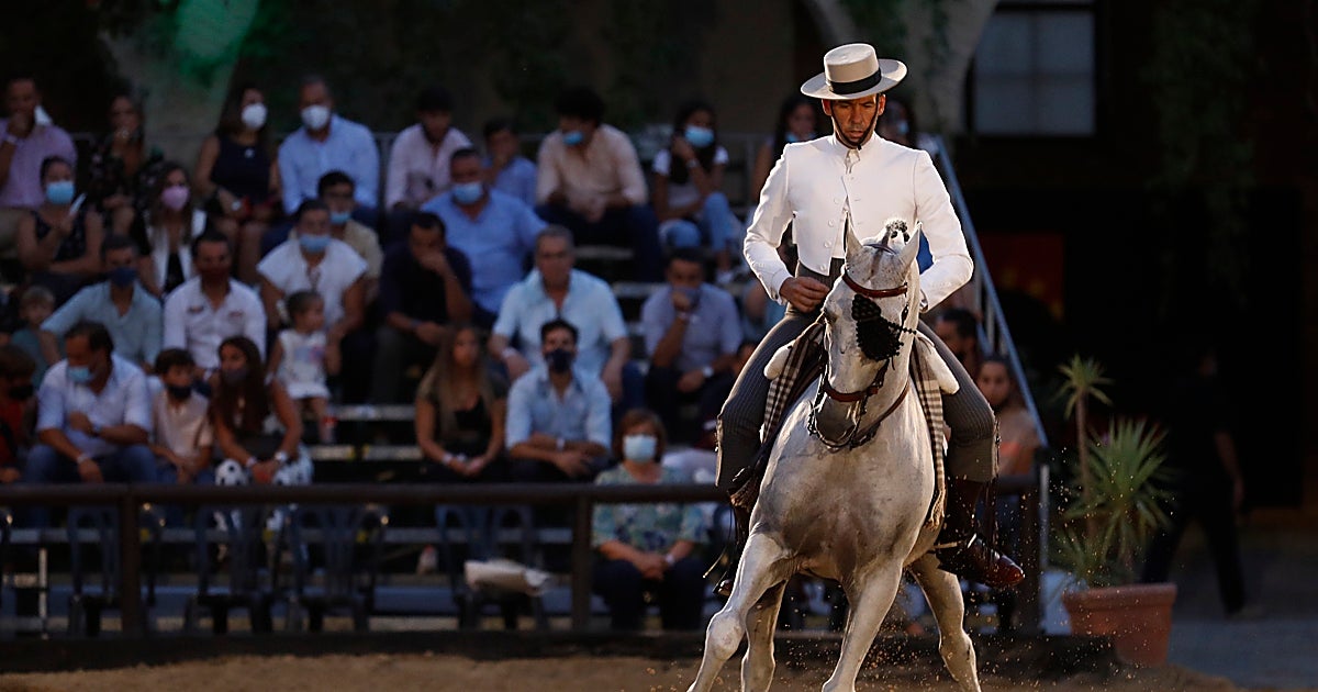 Las Caballerizas Reales de Córdoba acogen la VIII Copa de Es