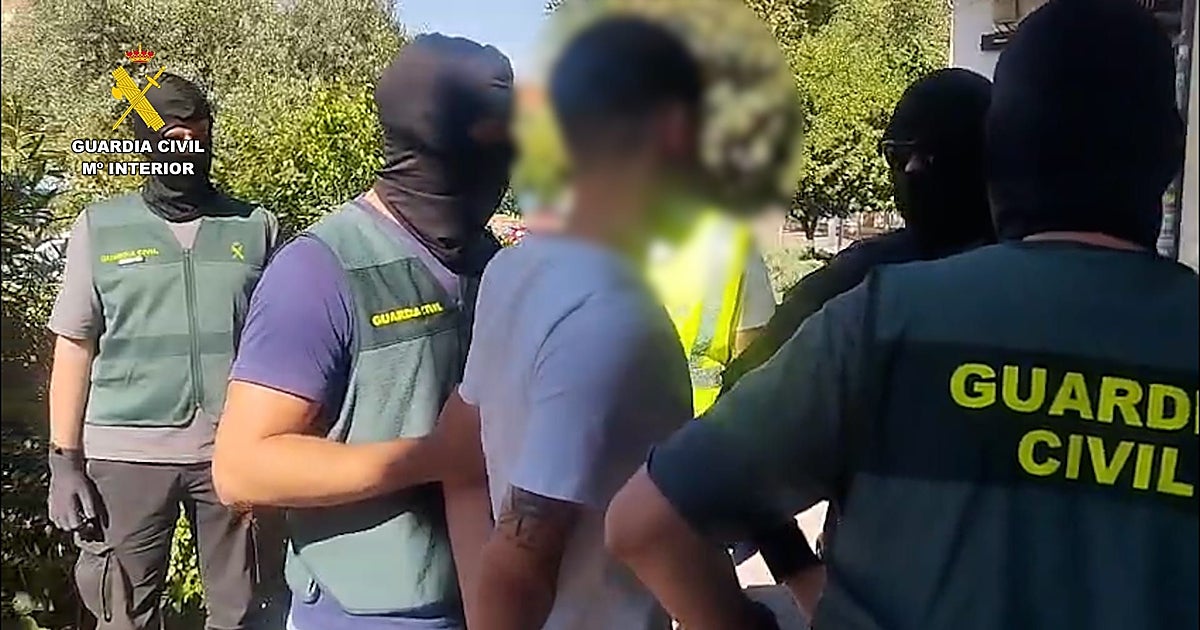 Caen los 7 miembros de un activo grupo criminal que cometió 62 robos con fuerza en Toledo y Madrid