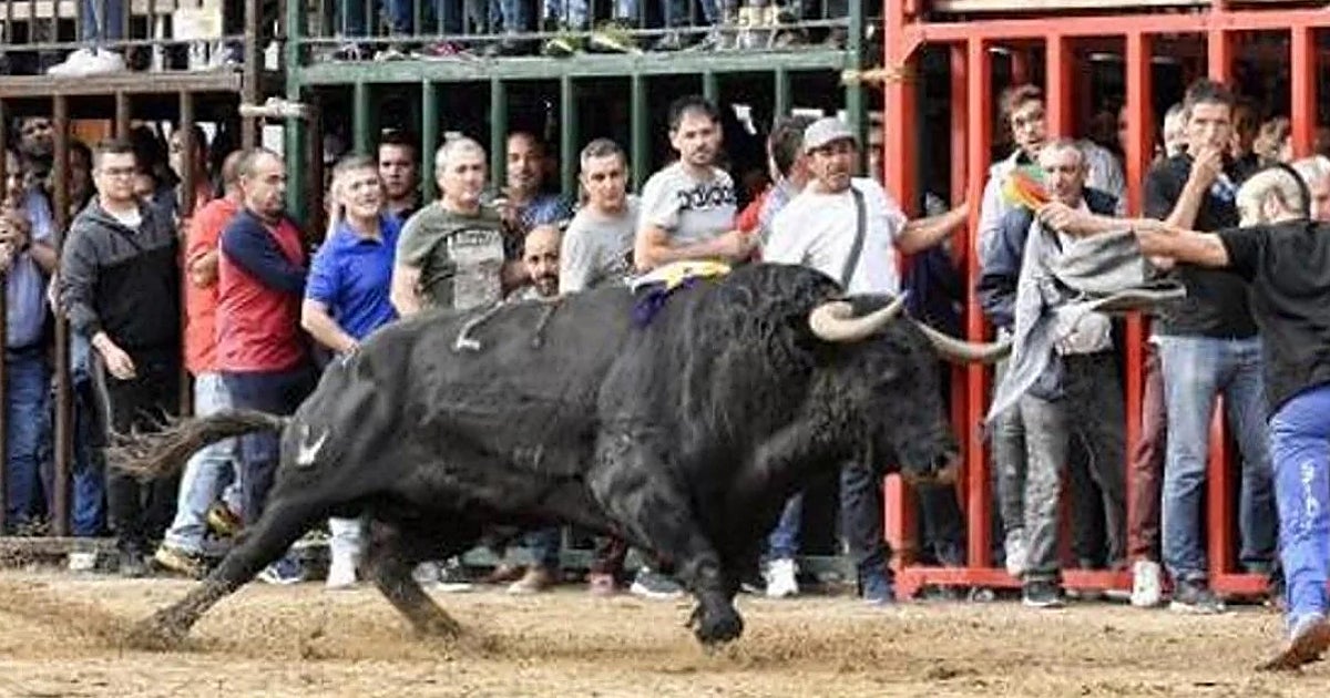 Así es la nueva normativa de los  bous al carrer  en la Comunidad Valenciana