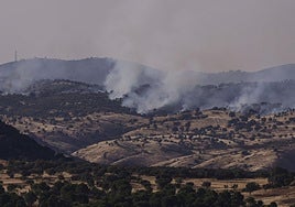 Extinguido el incendio en el campo de tiro de Cerro Muriano
