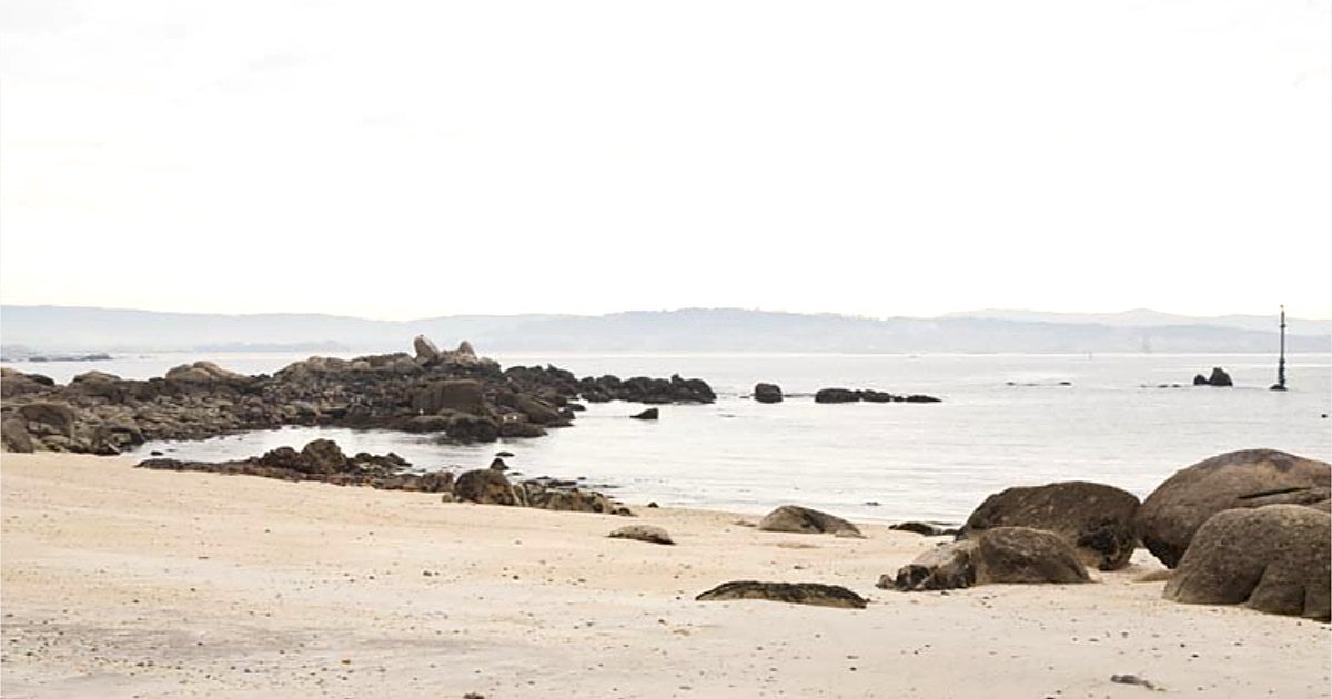 La playa para perros más famosa de Galicia: aguas tranquilas, arena fina y en un entorno natural privilegiado