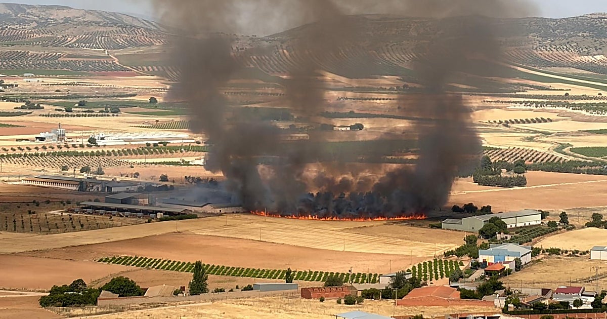 Un incendio junto a los molinos de Consuegra alarma a vecinos y turistas en pleno domingo