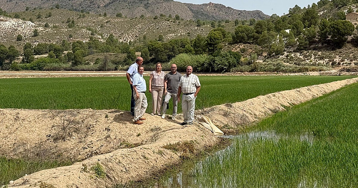 El 40% del arroz de Calasparra con Denominación de Origen se produce en Castilla-La Mancha