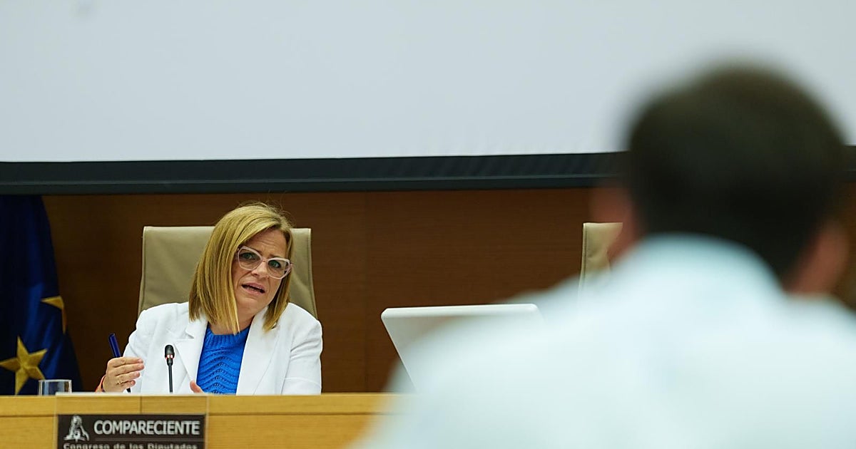 Bernabé defiende en el Congreso que activar la emergencia nacional en la dana hubiese sido «peor»