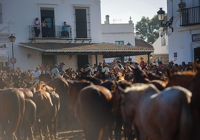 Los equinos por las calles de la aldea