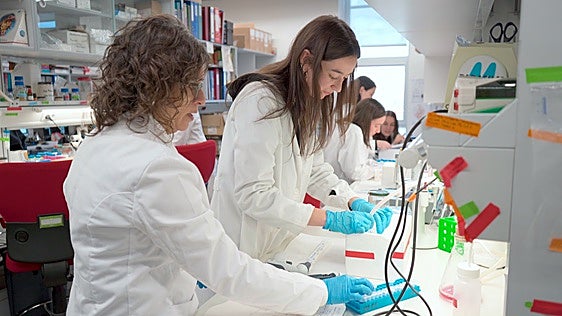 El fallo en el crecimiento causado por «una conexión defectuosa» entre el cerebro y el hígado
