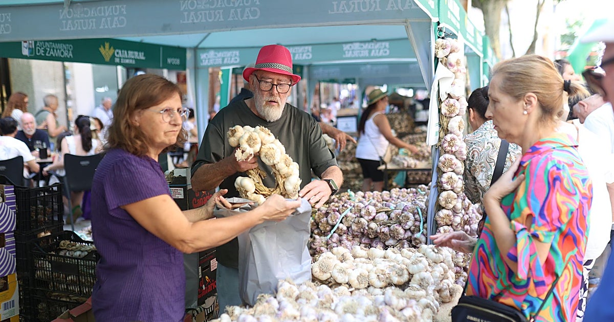 Zamora ya huele a ajo: 90 agricultores venderá 750 toneladas de producto en una feria «referente nacional»