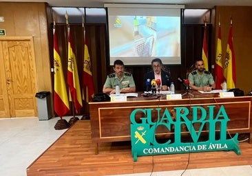 Desarticulada una red criminal de venta de cachorros de perro en Ávila