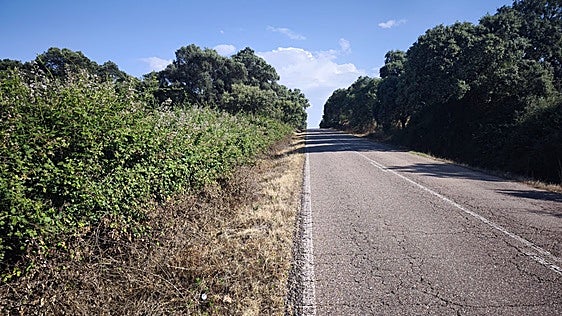 Ecologistas denuncian supuestas fumigaciones tóxicas en carreteras toledanas