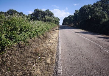 Ecologistas denuncian supuestas fumigaciones tóxicas en carreteras toledanas
