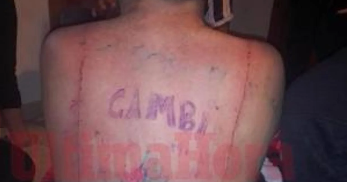 imagem
