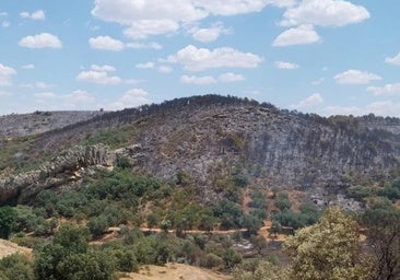 Extinguido el incendio de Huertezuelas, que ha arrasado más de 400 hectáreas