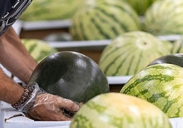 Mercadona confirma el origen de las sandías que vende en sus supermercados este verano