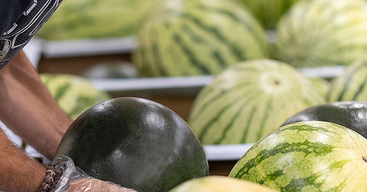 Mercadona confirma el origen de las sandías que vende en sus supermercados este verano