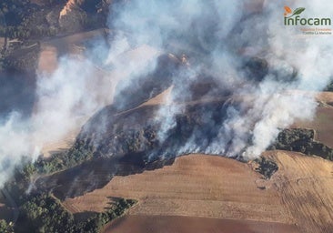 Controlado el incendio forestal de Robledillo de Mohernando (Guadalajara)