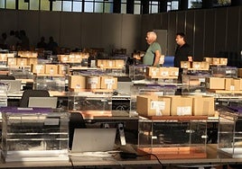 'Ley de nietos': hasta 13 escaños quedaron a menos de 3.000 votos de cambiar de manos el 23J