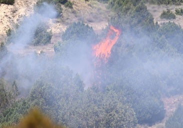 Aragón, en riesgo rojo por calor: de mayo a julio registró 16 días con riesgo máximo