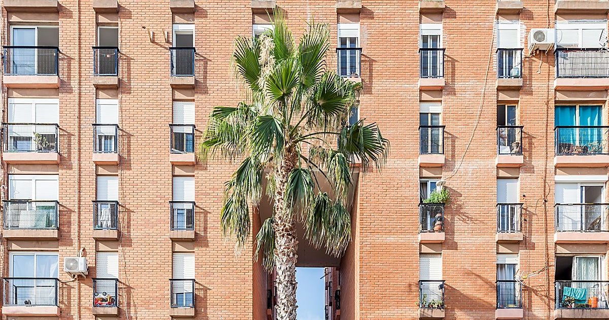 El plan de la Generalitat Valencia para desokupar viviendas: un servicio 24 horas con actuación inmediata
