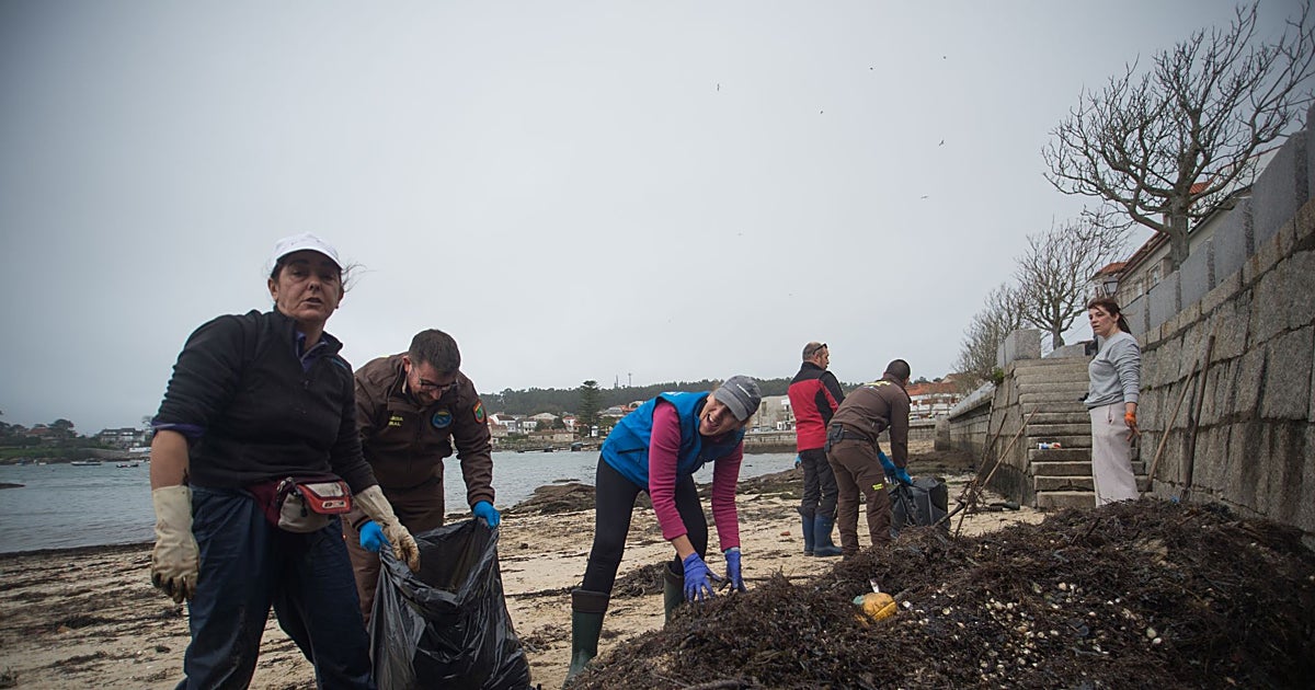 Las algas que «ensucian» las playas gallegas cada verano ya fertilizan viñedos de las mejores bodegas de España