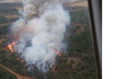 Medios aéreos y terrestres combaten un incendio en Porqueros (León)