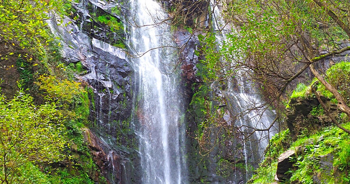 Tres  fervenzas  en Galicia ideales para visitar en verano: cascadas espectaculares para ver a pocos metros del coche