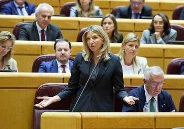 El Senado bloquea y envía al Constitucional el tratado que permite 'intercambiar' ministros con Francia