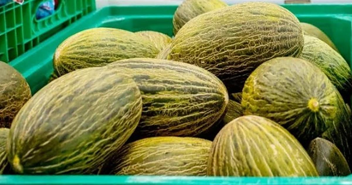 Mercadona confirma el origen de los melones que vende en sus supermercados este verano