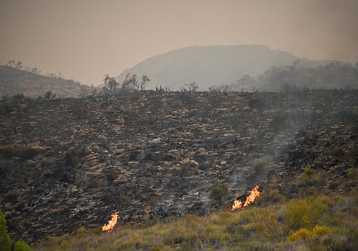 Desolación en el municipio: «Parece que ha caído una bomba»