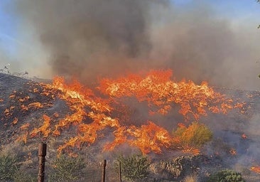 La «trampa mortal» del incendio de Almería: «Las once víctimas buscaron una salida que no era la de evacuación»