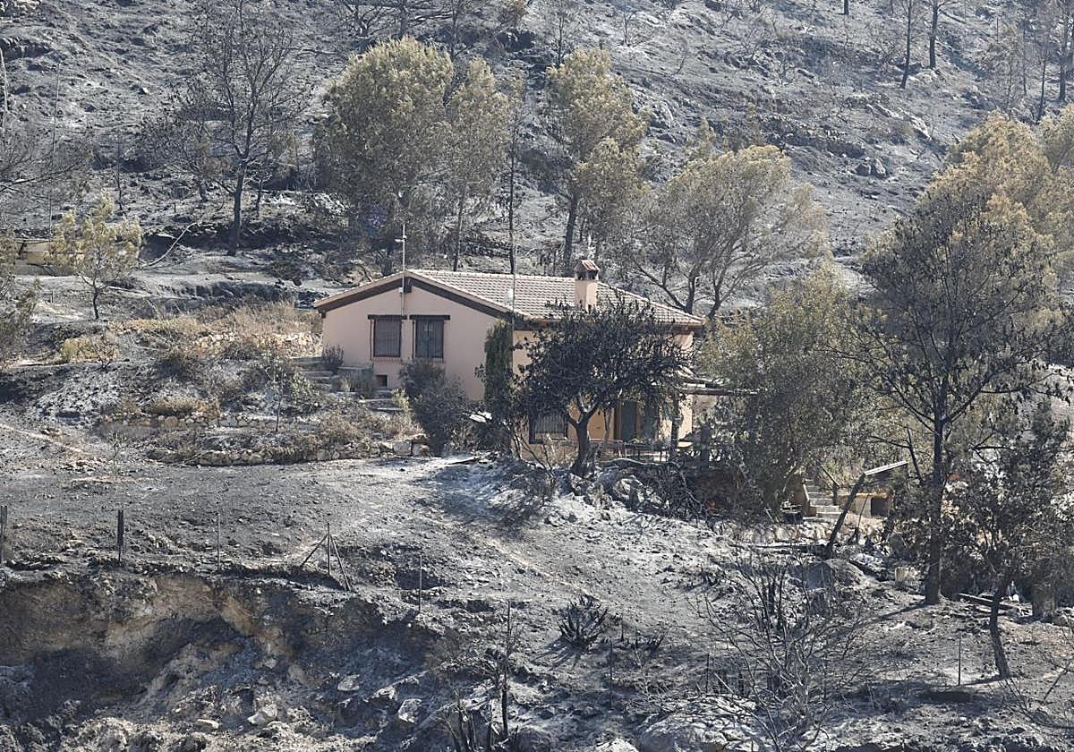 Bédar, el refugio británico que se convirtió en una ratonera mortal