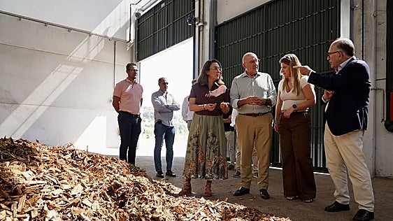 La red de calor Valladolid Oeste suma ya 3.500 viviendas