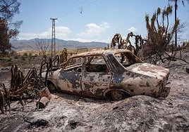 Muere una mujer de 93 años y eleva a 13 los fallecidos por el incendio de Almería