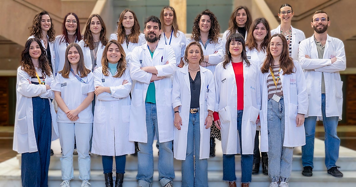 Investigadores en Valencia desarrollan una nanoterapia innovadora contra el cáncer de mama triple negativo