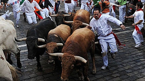 Las ganaderías de la provincia de Toledo que han participado en los Sanfermines